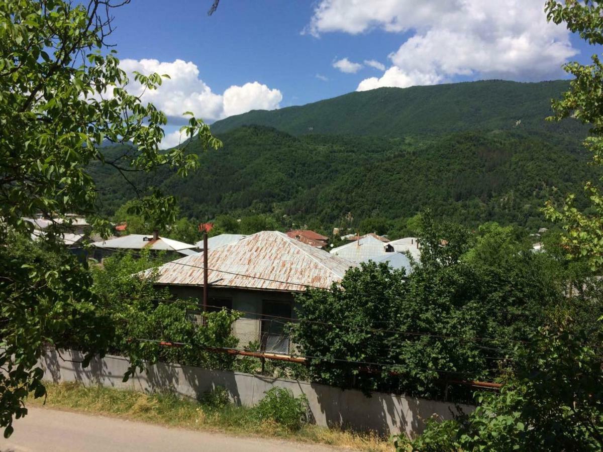 Villa PorTina Ambrolauri Esterno foto