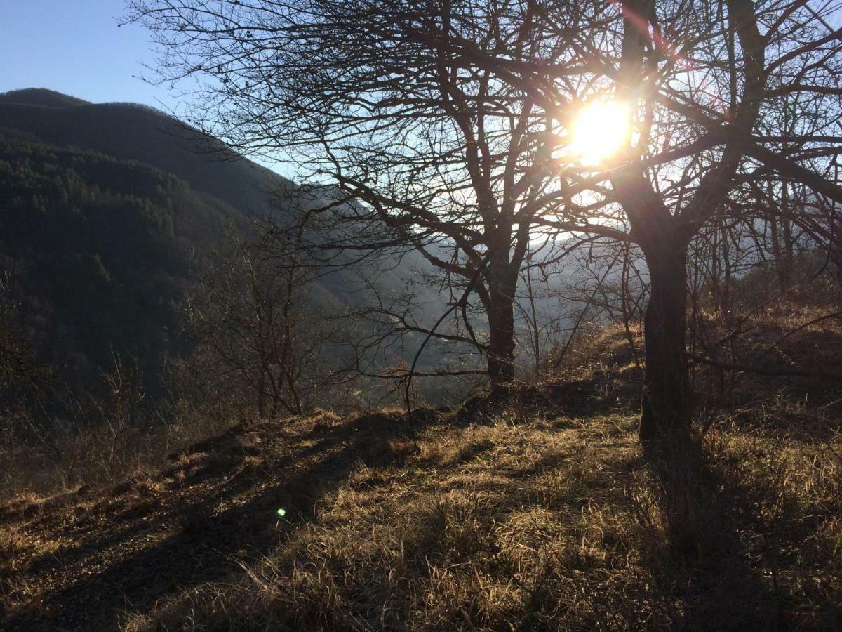 Villa PorTina Ambrolauri Esterno foto