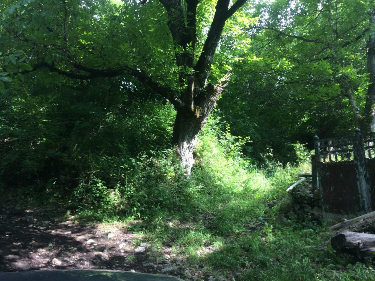 Villa PorTina Ambrolauri Esterno foto